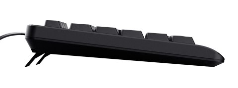 Trust Klawiatura TRUST TK-150 KEYBOARD US (23980)