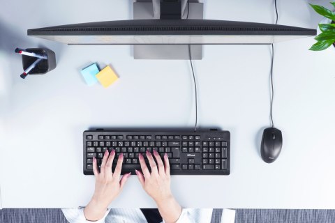 Trust Klawiatura TRUST TK-150 KEYBOARD US (23980)