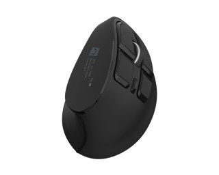 NATEC NATEC MYSZ WERTYKALNA EUPHONIE PRO BEZPRZEWODOWA BT 5.0 4000DPI CICHA