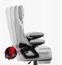 Huzaro Fotel gamingowy Force 4.6 Grey