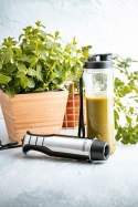 Adler Blender ręczny CAMRY CR 4615