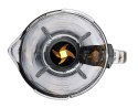 Blaupunkt Blender kielichowy Blaupunkt TBG801, 1,75L, 1500W