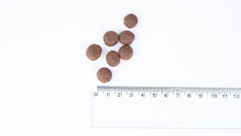 Bult BULT Karma sucha z indykiem dla dorosłych psów 3kg