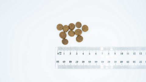 Bult BULT Karma sucha z jagnię. dla psów małych ras 12kg Bult BULT Karma sucha z jagnię. dla psów małych ras 12kg