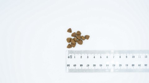 Bult BULT Karma sucha z kaczką i indykiem szczeniąta 3kg