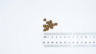 Bult BULT Karma sucha z kaczką i indykiem szczenięta 12kg