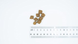 Bult BULT Karma sucha z łososiem i pstrągiem dla psa 3kg