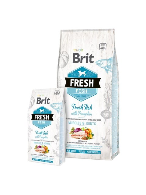 Brit BRIT Fresh Fish & Pumpkin Adult Large muscles & joints 12kg (WYPRZEDAŻ) Brit BRIT Fresh Fish & Pumpkin Adult Large muscles & joints 12kg (WYPRZEDAŻ)