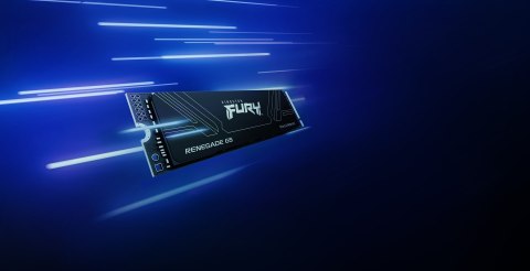Kingston KINGSTON DYSK SSD SFYR2S/1T0 1TB FURY Ren. NVMe Kingston KINGSTON DYSK SSD SFYR2S/1T0 1TB FURY Ren. NVMe