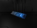 Kingston KINGSTON DYSK SSD SFYR2S/1T0 1TB FURY Ren. NVMe