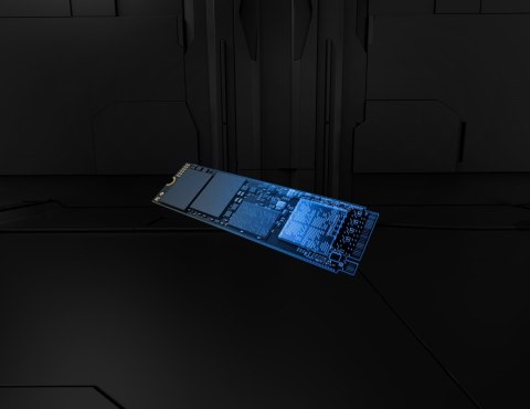 Kingston KINGSTON DYSK SSD SFYR2S/1T0 1TB FURY Ren. NVMe Kingston KINGSTON DYSK SSD SFYR2S/1T0 1TB FURY Ren. NVMe