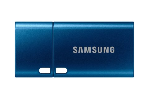 Samsung SAMSUNG FLASH Type C 256GB MUF-256DA/APC BLUE