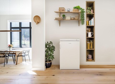 Gorenje Zamrażarka GORENJE F492PW