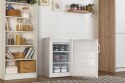 Gorenje Zamrażarka GORENJE F492PW