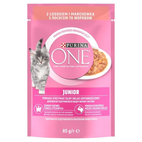 PURINA NESTLE PURINA ONE JUNIOR łosoś/marchew 85g PURINA NESTLE PURINA ONE JUNIOR łosoś/marchew 85g