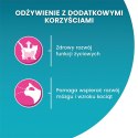 PURINA NESTLE PURINA ONE JUNIOR łosoś/marchew 85g