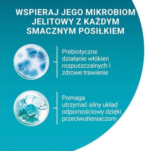 PURINA NESTLE PURINA ONE JUNIOR łosoś/marchew 85g PURINA NESTLE PURINA ONE JUNIOR łosoś/marchew 85g