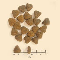 WOLFSBLUT WOLFSBLUT Wide Plain Adult horse/sweet potatos 2kg