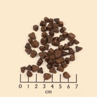 WOLFSBLUT WOLFSBLUT Wide Plain Small horse/sweet potatos 2kg