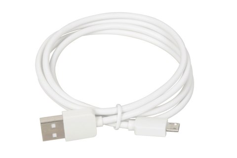IBOX Ładowarka sieciowa iBOX C-41 USB 2A, 1 port USB, kabel microUSB