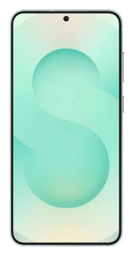 Samsung Samsung Galaxy S25+(S936) DS 5G 12/256GB Mint