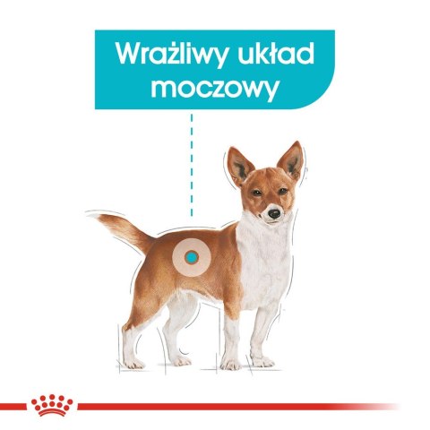 Royal Canin ROYAL CANIN Mini Urinary Care CCN - sucha karma dla psa - 1kg Royal Canin ROYAL CANIN Mini Urinary Care CCN - sucha karma dla psa - 1kg