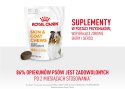 Royal Canin ROYAL CANIN Skin & Coat Adult Dog Supplements 240g