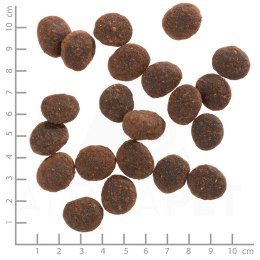 WOLFSBLUT WOLFSBLUT Black Marsh water buff./sweet pot. 12,5kg