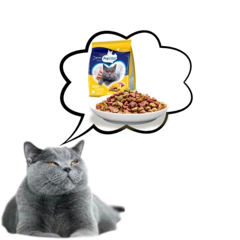 PREVITAL PREVITAL kurczak karma sucha dla kotów 300g PREVITAL PREVITAL kurczak karma sucha dla kotów 300g