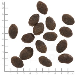 WOLFSBLUT WOLFSBLUT Wild Pacific Adult fish/potatos 12,5kg