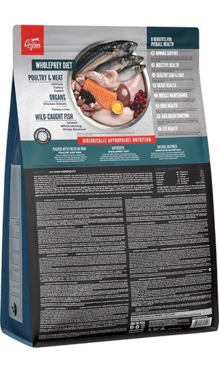 Orijen ORIJEN Guardian 8 - sucha karma dla kota - 1,8 kg