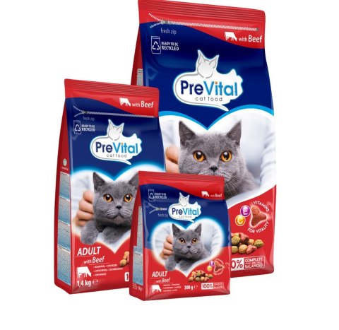 PREVITAL wołowina karma sucha dla kotów 300g PREVITAL wołowina karma sucha dla kotów 300g