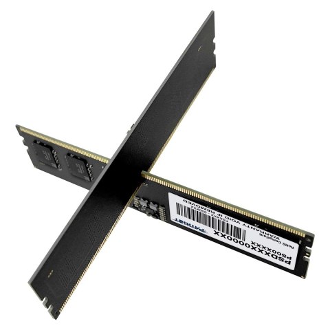 Patriot Memory Patriot Signature DDR5 16GB 5600MHz Patriot Memory Patriot Signature DDR5 16GB 5600MHz