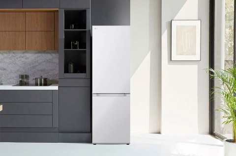 LG Lodówka LG GBV21L0ESW