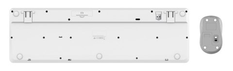 Trust Klawiatura + mysz Trust ODY II Wireless White US