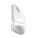 Trust Mysz TRUST Verto Wireless vertical ergonomic White