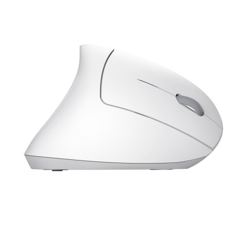Trust Mysz TRUST Verto Wireless vertical ergonomic White