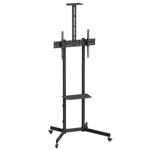 Maclean MACLEAN STAND / WÓZEK DO TV, PÓŁKA NA KAMERĘ, NA KÓŁKACH, 37-70", MAX. OBCIĄŻENIE 45KG/5KG PÓŁKA, MAX. VESA 600X400 MC-113 B Maclean MACLEAN STAND / WÓZEK DO TV, PÓŁKA NA KAMERĘ, NA KÓŁKACH, 37-70", MAX. OBCIĄŻENIE 45KG/5KG PÓŁKA, MAX. VESA 600X400 MC-113 B