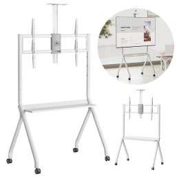 Maclean MACLEAN STAND / WÓZEK DO TV, PÓŁKA NA KAMERĘ, NA KÓŁKACH, 55-100