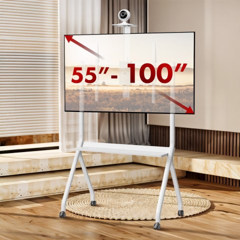 Maclean MACLEAN STAND / WÓZEK DO TV, PÓŁKA NA KAMERĘ, NA KÓŁKACH, 55-100", MAX. OBCIĄŻENIE 120KG/10KG PÓŁKA, MAX. VESA 900X600 MC-114 Maclean MACLEAN STAND / WÓZEK DO TV, PÓŁKA NA KAMERĘ, NA KÓŁKACH, 55-100", MAX. OBCIĄŻENIE 120KG/10KG PÓŁKA, MAX. VESA 900X600 MC-114