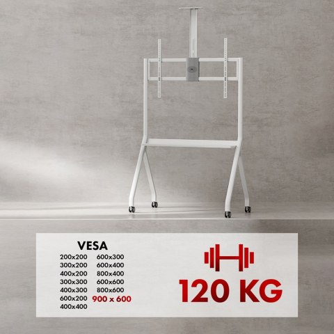 Maclean MACLEAN STAND / WÓZEK DO TV, PÓŁKA NA KAMERĘ, NA KÓŁKACH, 55-100", MAX. OBCIĄŻENIE 120KG/10KG PÓŁKA, MAX. VESA 900X600 MC-114 Maclean MACLEAN STAND / WÓZEK DO TV, PÓŁKA NA KAMERĘ, NA KÓŁKACH, 55-100", MAX. OBCIĄŻENIE 120KG/10KG PÓŁKA, MAX. VESA 900X600 MC-114