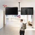 Maclean MACLEAN UCHWYT SUFITOWY DLA DWÓCH TV, MAX. OBCIĄŻENIE 2X40KG, 34-60", MAX VESA 600X400 MC-111 B