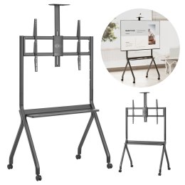 Maclean MACLEAN WÓZEK DO TV, PÓŁKA NA KAMERĘ, NA KÓŁKACH, 55-100