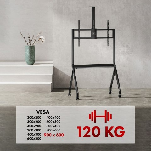 Maclean MACLEAN WÓZEK DO TV, PÓŁKA NA KAMERĘ, NA KÓŁKACH, 55-100", MAX. OBCIĄŻENIE 120KG/10KG PÓŁKA, MAX. VESA 900X600 MC-114 B Maclean MACLEAN WÓZEK DO TV, PÓŁKA NA KAMERĘ, NA KÓŁKACH, 55-100", MAX. OBCIĄŻENIE 120KG/10KG PÓŁKA, MAX. VESA 900X600 MC-114 B