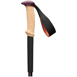 Black Diamond Kije trekkingowe Black Diamond Trail Cork Trekking Poles Fig