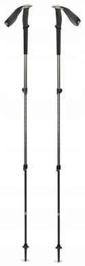 Black Diamond Kije trekkingowe Black Diamond Trail Trekking Poles Pine Smoke