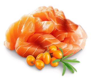 SHELMA SHELMA saszetka dla kociąt z łososiem i rokitnikiem 85g