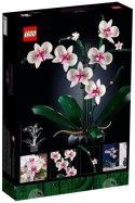 Lego X LEGO Icons 10311 Orchidea