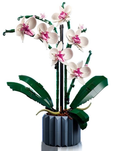 Lego X LEGO Icons 10311 Orchidea Lego X LEGO Icons 10311 Orchidea