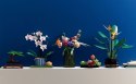 Lego X LEGO Icons 10311 Orchidea